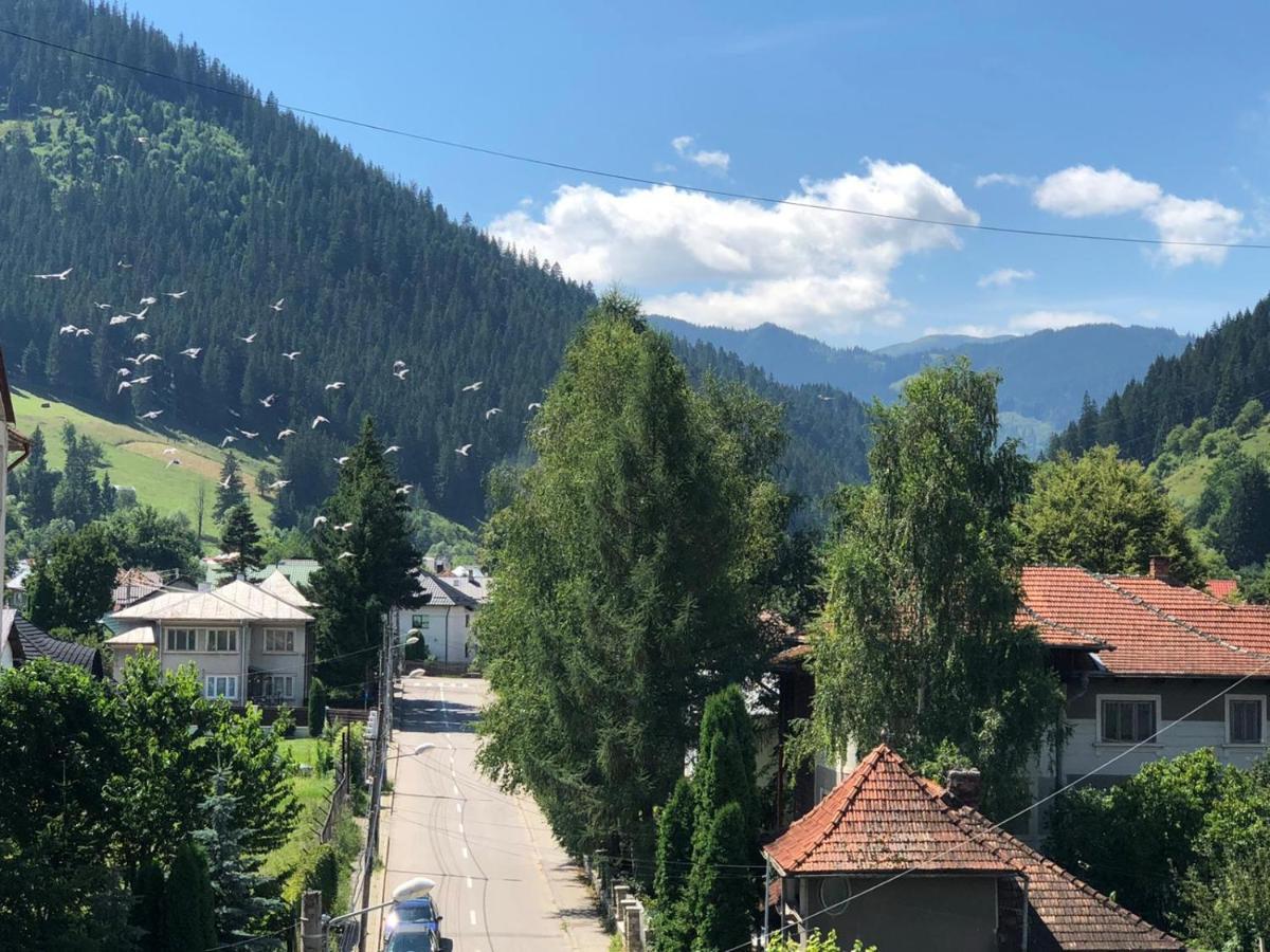 Bucovina View Apartment Campulung Moldovenesc Bagian luar foto