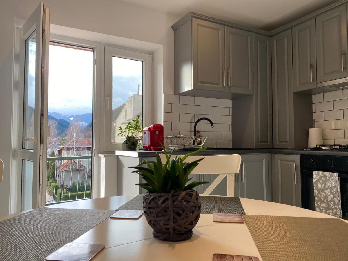Bucovina View Apartment Campulung Moldovenesc Bagian luar foto